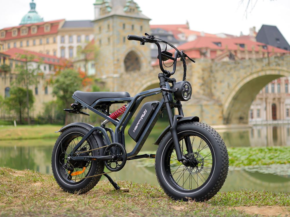 Off Road Electric Bike