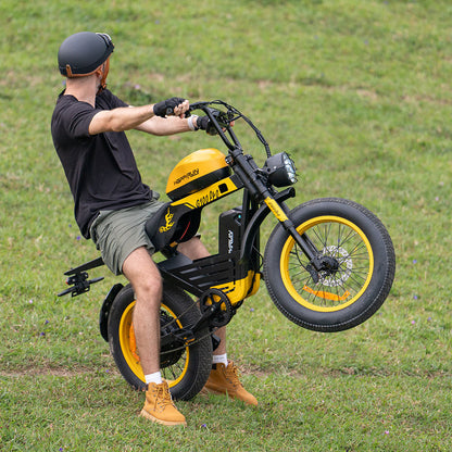 HappyRun G100 Pro 6000W Electric Bike